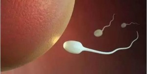 男性精液的保健作用有哪些图,阴道炎,卵巢癌,提高性生活质量