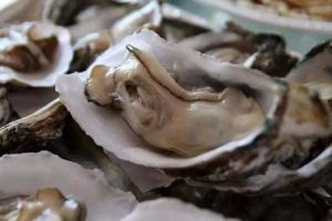 牡蛎怎么吃壮阳,牡蛎的做法,吃牡蛎宜忌人群