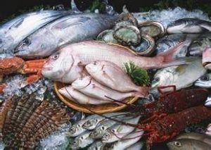 壮阳食物海产品图